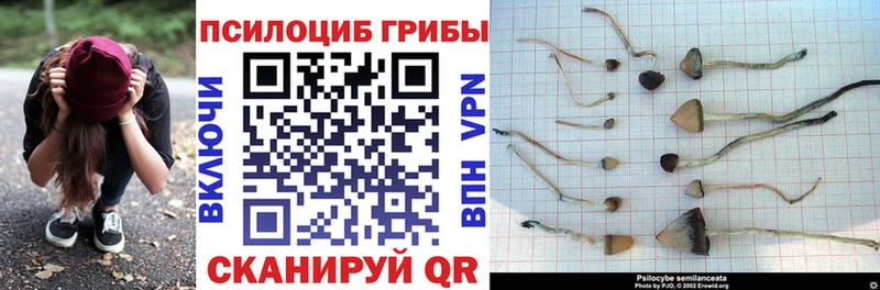Галлюциногенные грибы мухоморы Агрыз
