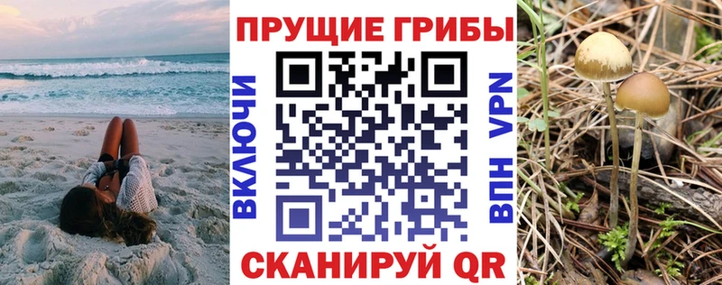 Галлюциногенные грибы мухоморы  Агрыз 